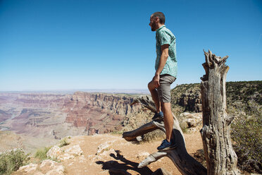 USA, Arizona, Grand Canyon National Park, Grand Canyon, man looking at view - GEMF02205