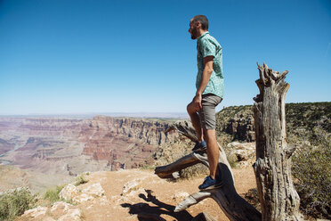 USA, Arizona, Grand Canyon National Park, Grand Canyon, Mann schaut auf Aussicht - GEMF02205