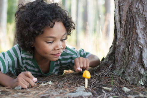 Bäume am Ufer eines Sees, ein Kind liegt und untersucht einen kleinen gelben Pilz. - MINF01185