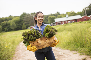 Working on an organic farm. A woman holding a basket full of fresh green vegetables, freshly picked. - MINF01220