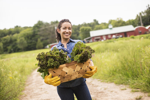 Arbeit auf einem Bio-Bauernhof: Eine Frau hält einen Korb voller frisch geerntetem grünem Gemüse in der Hand. - MINF01220
