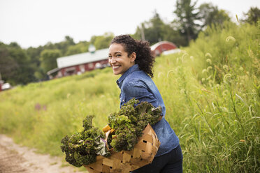 Arbeit auf einem Bio-Bauernhof: Eine Frau trägt einen Korb voller frischem, grünem Gemüse, das gerade geerntet wurde. - MINF01223