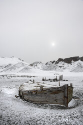 A wooden boat hull beached on Deception island, a former whaling station. - MINF01460