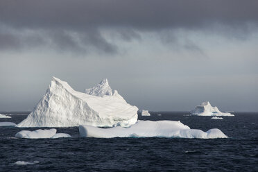 Eisberge auf den Gewässern des Südlichen Ozeans. - MINF01515