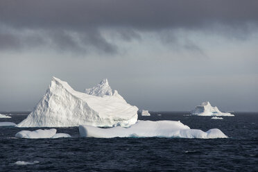 Icebergs on the waters of the Southern Ocean. - MINF01515