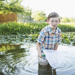 Ein kleiner Junge steht mit einem Fischernetz knöcheltief im Wasser. - MINF01523