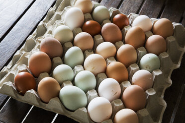 A tray of fresh organic eggs, in a variety of colours. - MINF01606