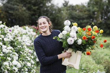 Eine Frau arbeitet in einer Bio-Gärtnerei und schneidet Blumen für Gestecke und kommerzielle Aufträge. - MINF01667