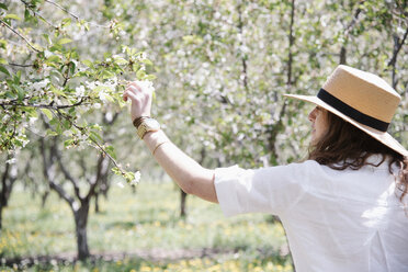 Eine Frau mit einem Strohhut, unter einem blühenden Apfelbaum. - MINF01692