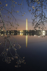 Das Washington Monument in der Morgendämmerung, das sich im See spiegelt. - MINF01784