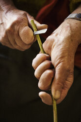 Close up of woman cutting a piece of willow in a basket weaver's workshop. - MINF01809