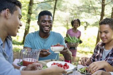 Ein Familienpicknick im Schatten hoher Bäume: Eltern und Kinder bedienen sich an frischem Obst und Gemüse. - MINF01862