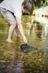 A boy paddling in shallow water, leaning over and using a small fishing net. - MINF01887