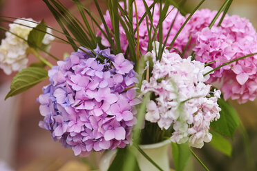 Ein Strauß frischer Blumen - ABIF00726