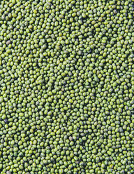 Mung beans, also known as green gram or golden gram, native to India. - MINF02066
