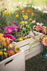 Tischdekoration für die Hochzeit: Eine Holzkiste mit frischen Blumen, zarten und bunten Blüten in Orange, Rosa und Lila. - MINF02117