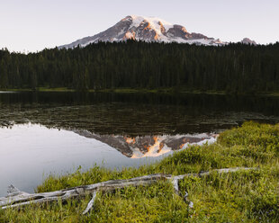 View of Mount Rainier from Reflection Lakes at dawn in Mount Rainier national park. - MINF02118