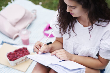 Junge Frau sitzt auf einer Decke auf einer Wiese und schreibt in ein Notizbuch - ABIF00749
