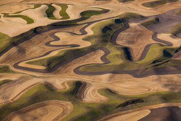 Ackerlandschaft mit gepflügten Feldern und Furchen in Palouse, Washington, USA, Luftaufnahme mit natürlichen Mustern. - MINF02201