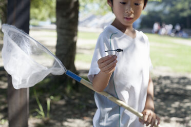 Young boy holding a butterfly net. - MINF02223