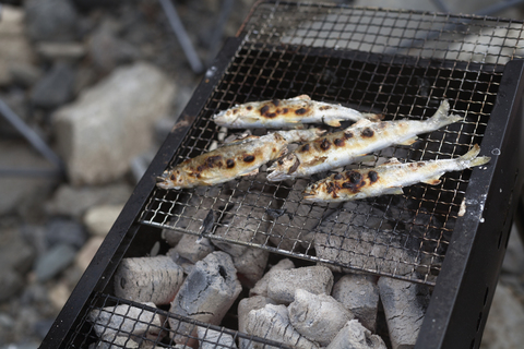 Gegrillter Fisch auf einem Grill bei einem Picknick., lizenzfreies Stockfoto