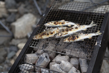 Gegrillter Fisch auf einem Grill bei einem Picknick. - MINF02234