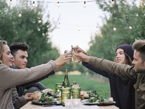 Apple orchard. Group of people toasting with a glass of cider, food and drink on a table. stock photo