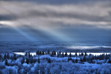 Blick über die Landschaft mit Kiefernwäldern, Schneefeldern und sich auf der Oberfläche eines Sees spiegelnden Sonnenstrahlen. - MINF02368