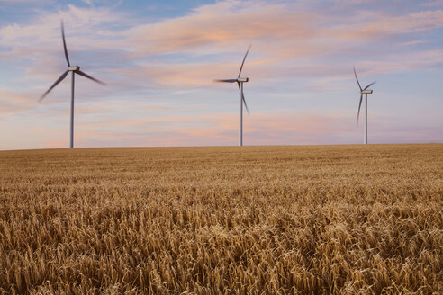 Windkraftanlagen in der Abenddämmerung, Sommerweizenfeld im Vordergrund, Palouse, WA, USA - MINF02372