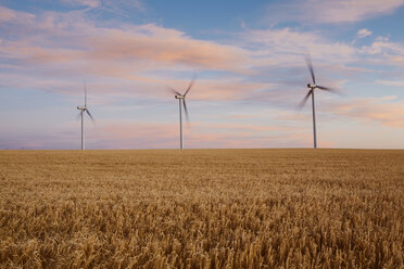 Windturbinen in der Abenddämmerung auf einem Sommerweizenfeld: Energieerzeugung. - MINF02373