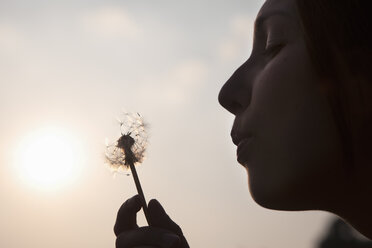 A young woman blowing a dandelion seedhead. Silhouette. - MINF02437