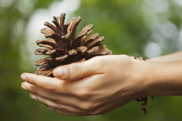 A woman holding a pine cone in her hands. - MINF02438