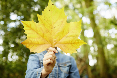 Ein junges Mädchen hält sich ein Herbstblatt vor das Gesicht. - MINF02459