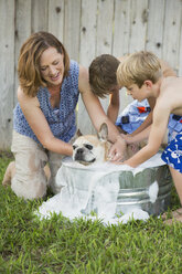 Eine Familie in ihrem Garten, die einen Hund in einer Wanne wäscht. - MINF02637