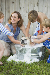 Eine Familie in ihrem Garten, die einen Hund in einer Wanne wäscht. - MINF02638