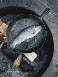 Fisch in einer Bratpfanne über einem Feuer im Freien. - MINF02685