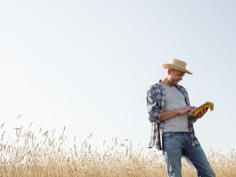 A man in working clothes, jeans and straw hat, using a digital tablet standing in a cornfield. - MINF02718