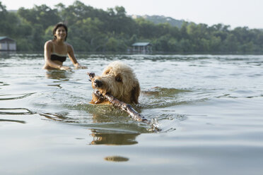 Ein Labradoodle-Hund schwimmt mit einem Stock im Maul, im Hintergrund eine Frau. - MINF02734