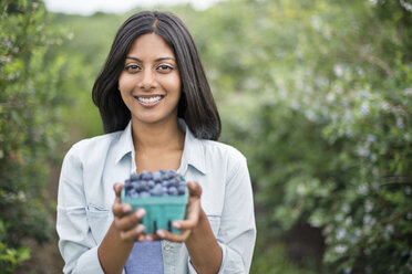 Ökologischer Landbau: Eine Frau hält ein Körbchen mit frisch gepflückten Bio-Blaubeeren, Cyanococcus. - MINF02794