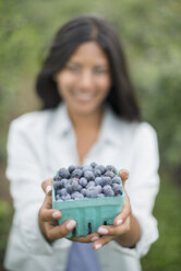 Ökologischer Landbau: Eine Frau hält ein Körbchen mit frisch gepflückten Bio-Blaubeeren, Cyanococcus. - MINF02796