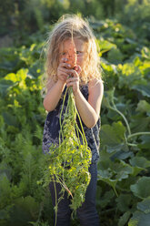 Ein junges Mädchen mit langem, rotem, lockigem Haar steht in einem Garten und hält frisch gepflückte Möhren in der Hand. - MINF02824