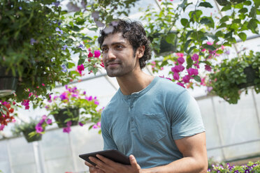 Ein junger Mann arbeitet in einer Gärtnerei, umgeben von blühenden Pflanzen. - MINF02837