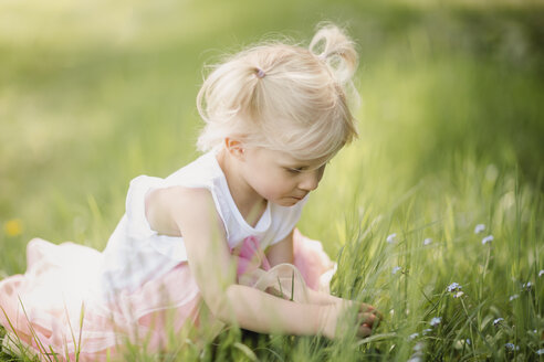 Blondes kleines Mädchen pflückt Blumen auf einer Wiese - NMSF00216