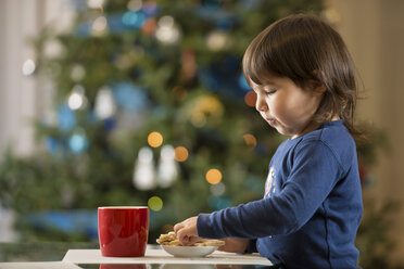 Mädchen isst Weihnachtsplätzchen - ISF17279