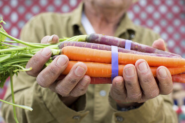 Man holding carrots outdoors - ISF17287