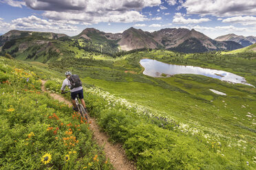 Mountain biker on green trail - ISF17327