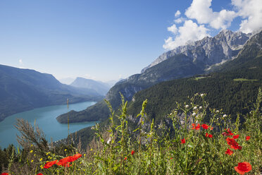 Italien, Trentino, Brenta-Dolomiten, Lago di Molveno - GWF05579