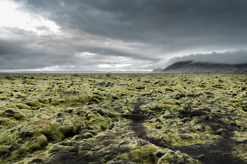 Iceland, Kirkjubaejarklaustur, Dverghamrar, Field of lava overgrown with moss stock photo