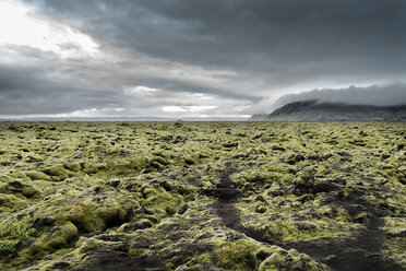 Island, Kirkjubaejarklaustur, Dverghamrar, Mit Moos bewachsenes Lavafeld - DMOF00065