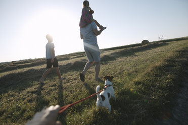 Familiy walking with Jack Russel Terrier on a field at sunset - KMKF00423